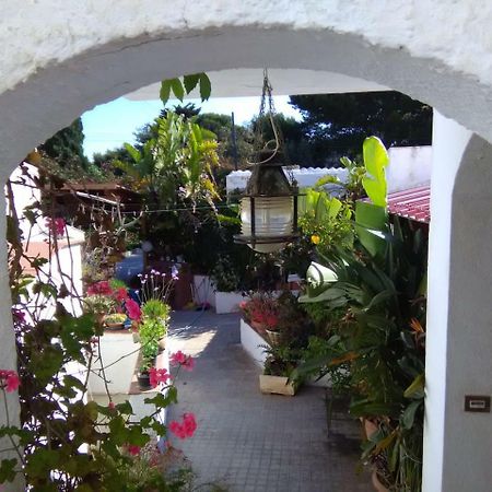 Le Case Di Vito Favignana Dış mekan fotoğraf