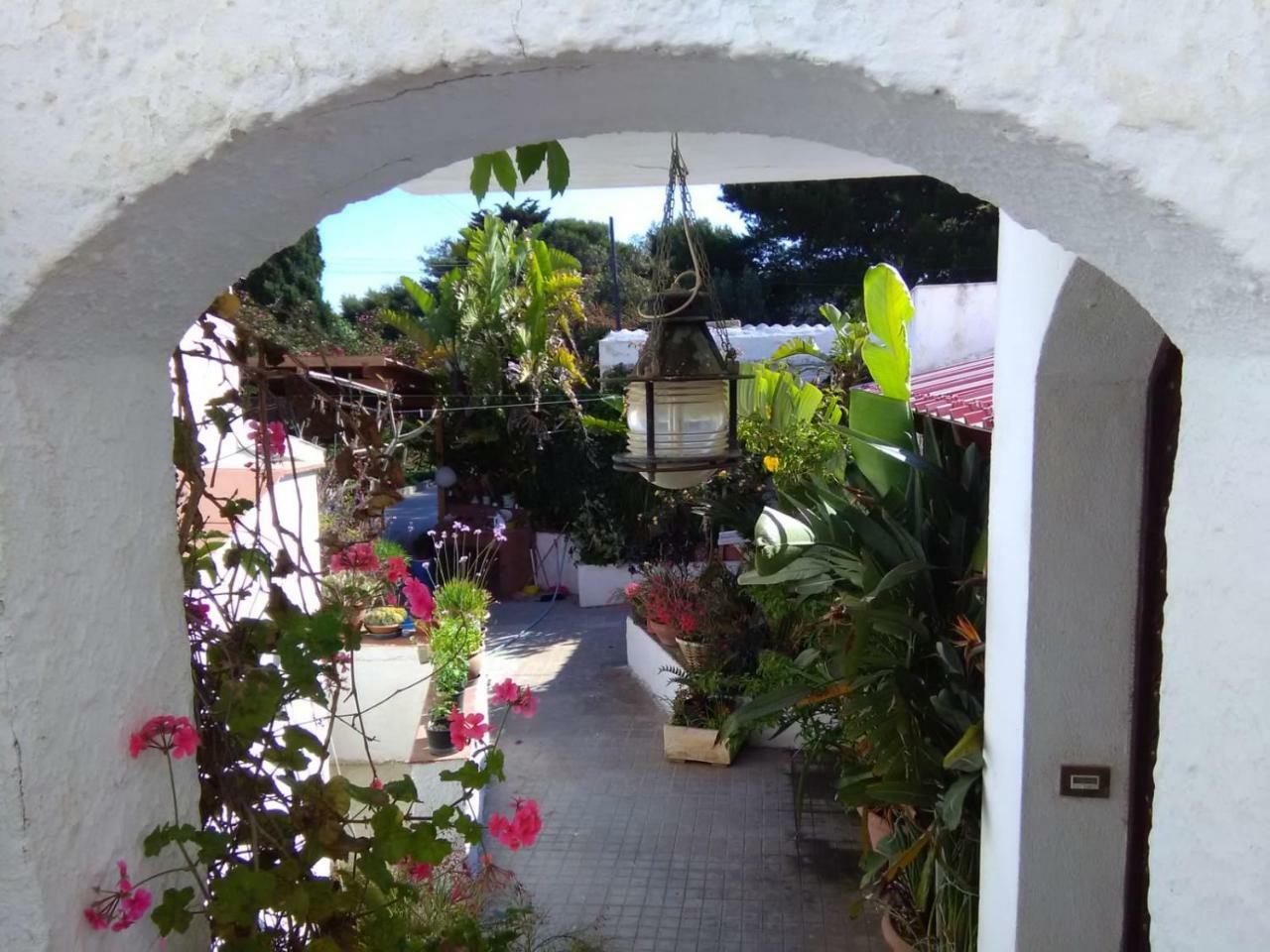 Le Case Di Vito Favignana Dış mekan fotoğraf
